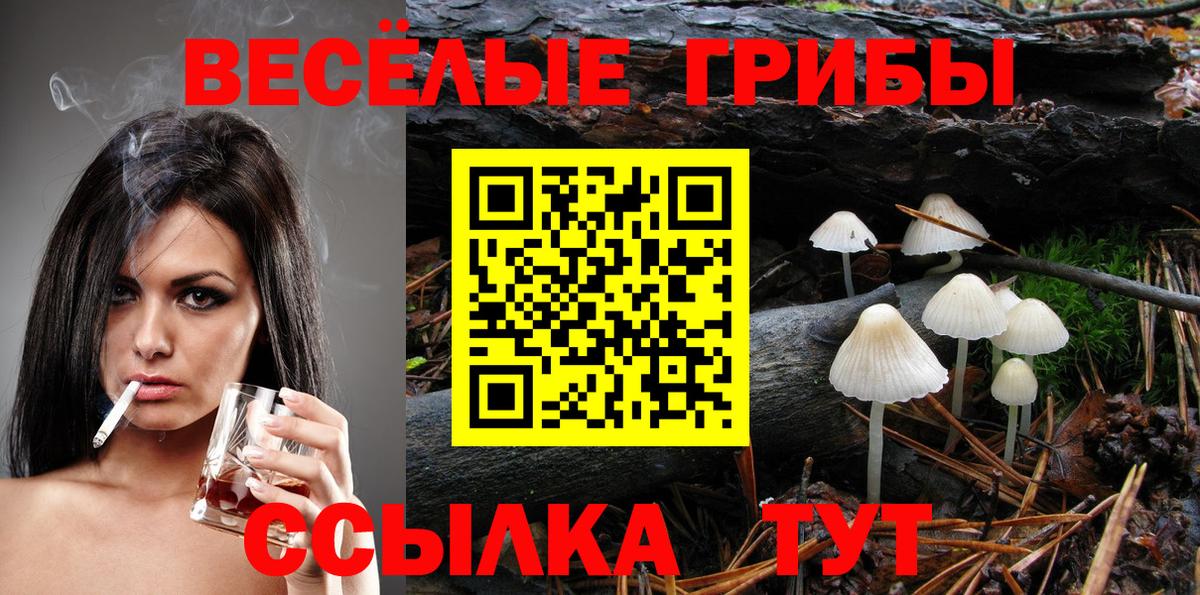 Галлюциногенные грибы прущие грибы  Вход с VPN  Горячий Ключ 