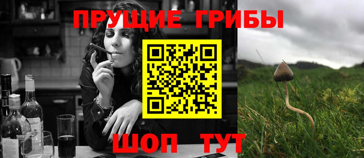 Псилоцибиновые грибы Psilocybe Горячий Ключ